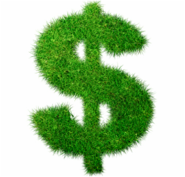 We make sure your lawn and property care is taken care of affordably by offering our summer 6-month program over a 12-month payment plan