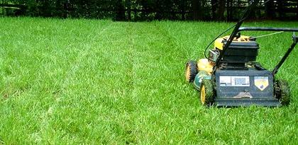 Lawn Mowing Best Tips - Alberto Lawn Care